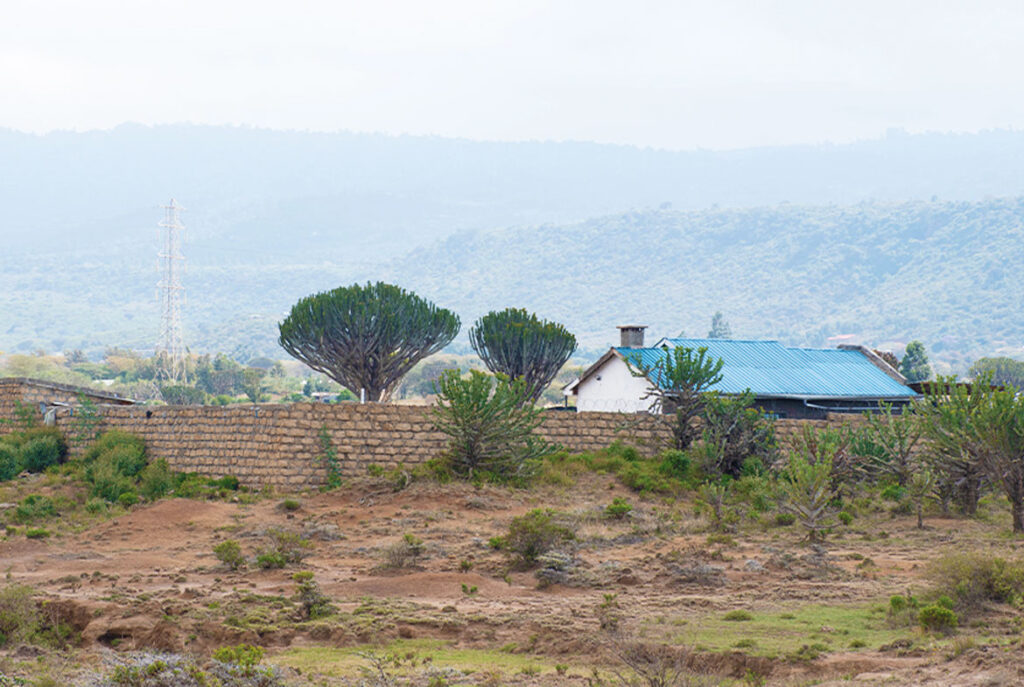 Tulivu-Gardens-Phase-1-Pettmall-Shelters-2